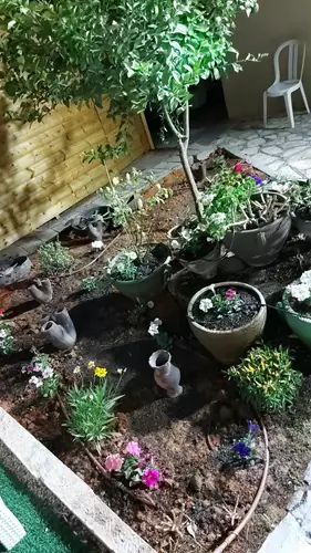 תחזוקת גינה של בית פרטי 4